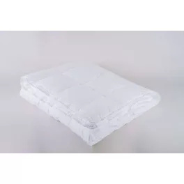 Família paplan 200x220 cm - 650 g