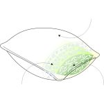 Tulipán háromrétegű félpárna 50x70 cm